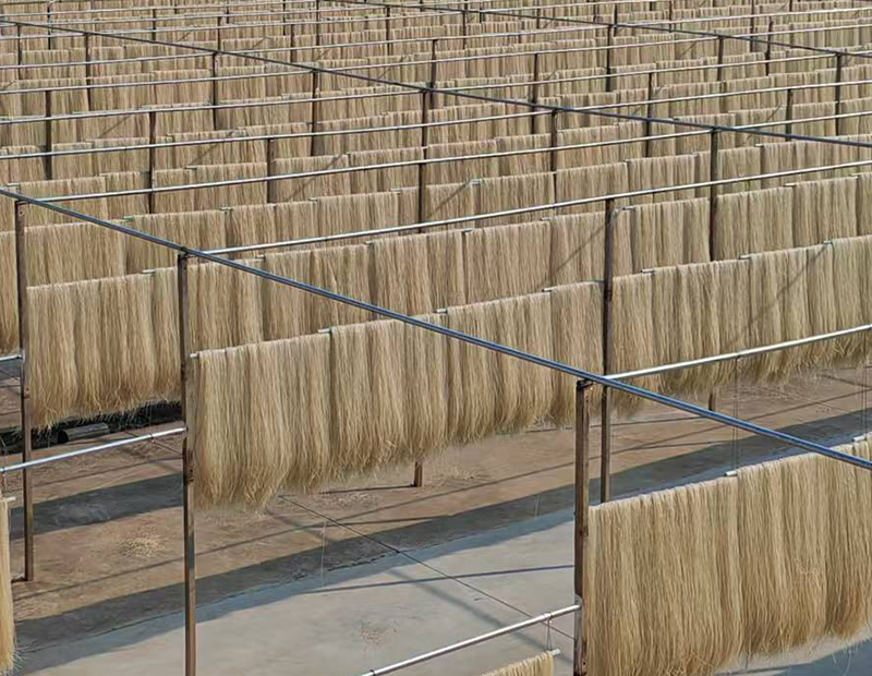 红薯粉条的现代工艺